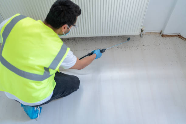 Best Fumigation Services  in Colonia, NJ